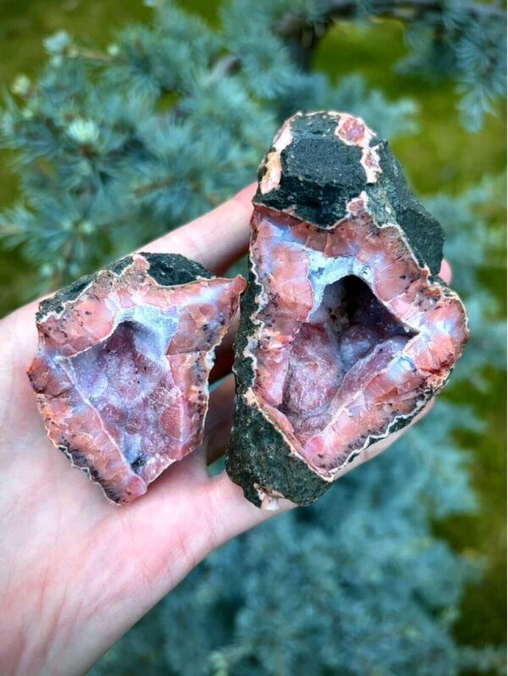 Raw Pink Amethyst / Quartz Geode Pair – Atlas Mountains, Morocco